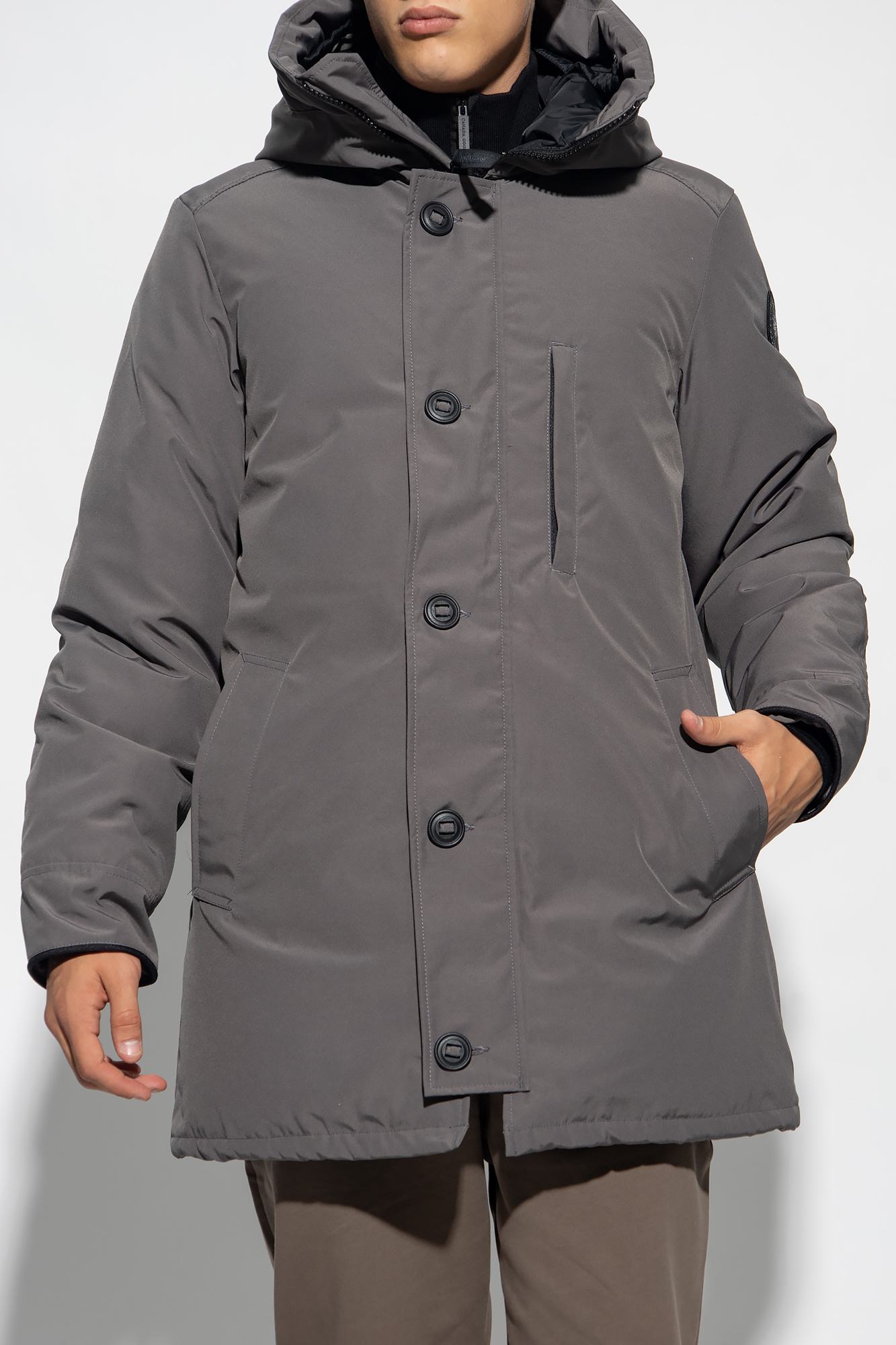 Coastal grey cheap canada goose